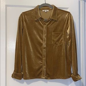 Mustard Gold Velvet top